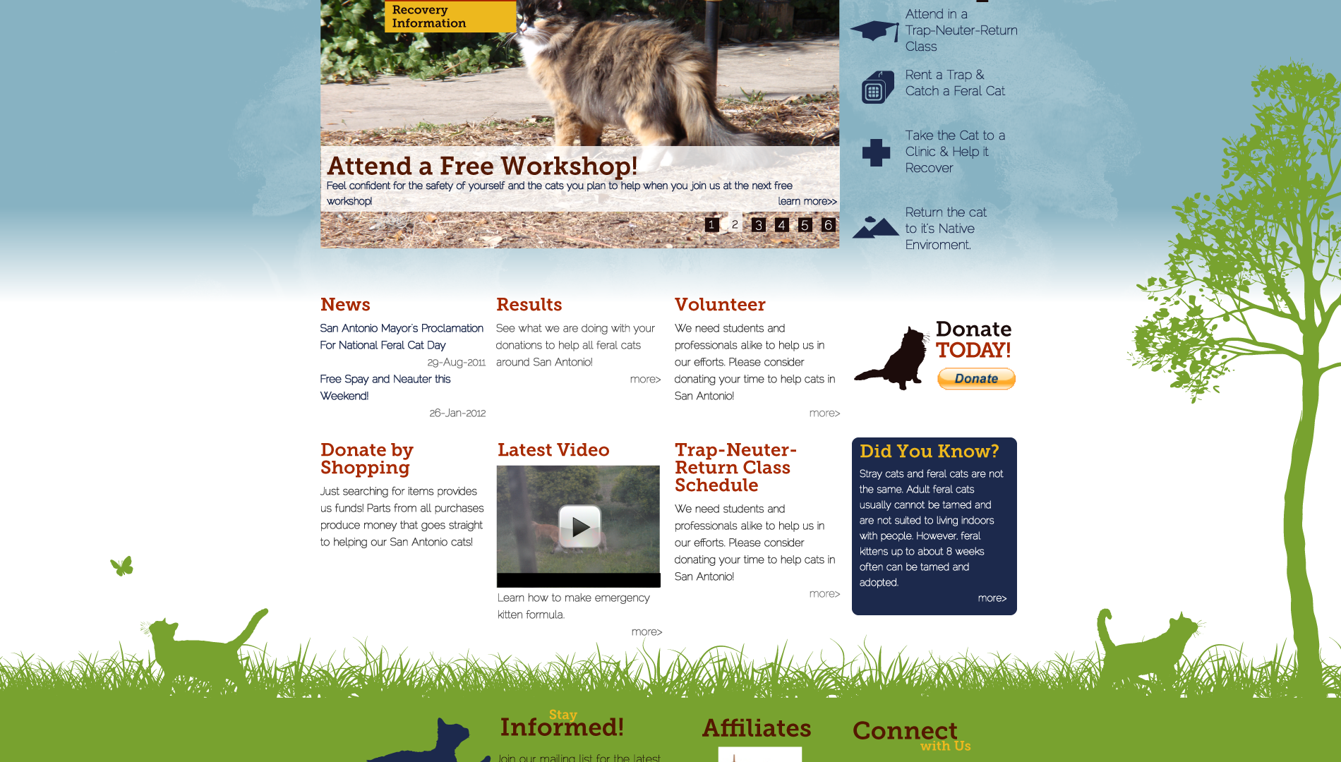 San Antonio Feral Cat Coalition Website Design