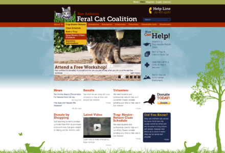 San Antonio Feral Cat Coalition Website Design